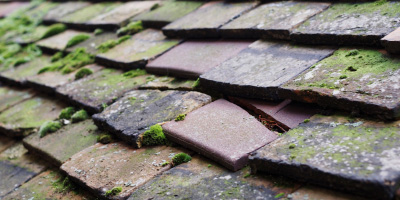 Backe roof repair costs